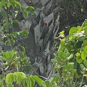 Meet your Posher, Virginia